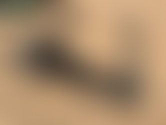 INDUSTRIAS AMFRICA BALE UNROLLER, consigned in April 4, 2026 Auction