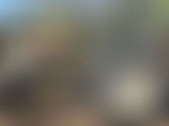 FORD 3000 TRACTOR, consigned in April 4, 2026 Auction