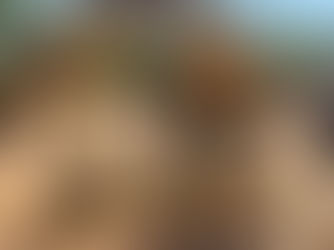 VERMEER WR 20 HAY RAKE, consigned in April 4, 2026 Auction