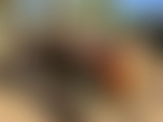 YANMAR ZEN-NOH 2210 TRACTOR, consigned in April 4, 2026 Auction