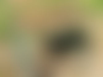 METAL RACK, consigned in April 4, 2026 Auction