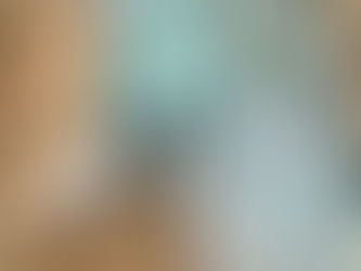 NEW HOLLAND TRACTOR DOORS, ETC, consigned in April 4, 2026 Auction