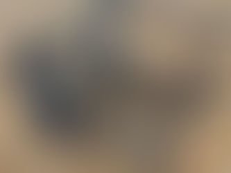 SECTION HARROW, consigned in April 4, 2026 Auction