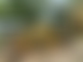 1997 CATERPILLAR 426C BACKHOE, consigned in October 4, 2025 Auction