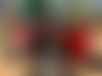 2004 FARM PRO 2420 TRACTOR, consigned in April 4, 2026 Auction