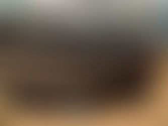 PLASTIC YARD CART, consigned in April 4, 2026 Auction