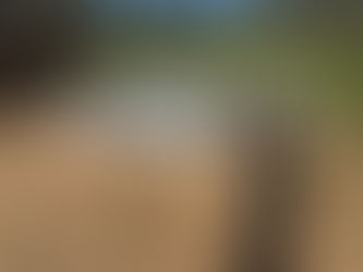 TWO (2) LOTS OF FS INDUSTRIES CUSTOM-MADE ALUMINUM STEPS, consigned in April 4, 2026 Auction