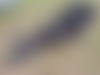 BATTING CAGE WEFTS, consigned in April 4, 2026 Auction