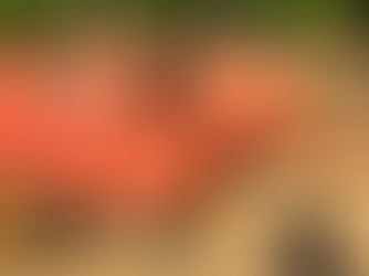 MASSEY FERGUSON 224 SQUARE BALER, consigned in April 4, 2026 Auction