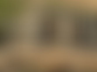 STAINLESS STEEL BOAT STEPS, consigned in April 4, 2026 Auction