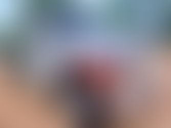 2013 WESTERN STAR DUMP TRUCK, consigned in April 4, 2026 Auction