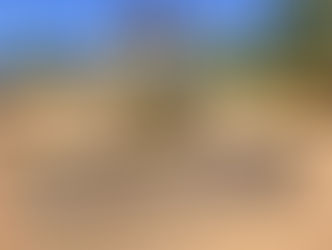 CATERPILLAR D4C DOZER, consigned in April 4, 2026 Auction