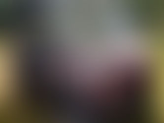 2010 KAWASAKI MULE, consigned in October 4, 2025 Auction