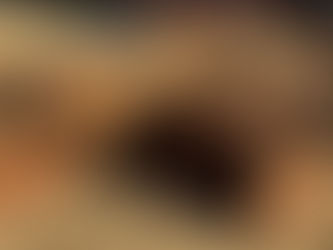 DISC-TEN (10) FOOT, consigned in April 4, 2026 Auction