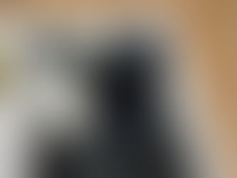 FORD F 250 SIDE MIRRORS AND MISC. FORD PARTS, consigned in October 4, 2025 Auction