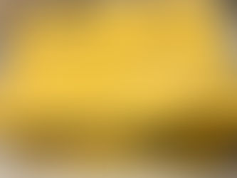 DEWALT ELECTRIC AIR COMPRESSOR, consigned in October 4, 2025 Auction