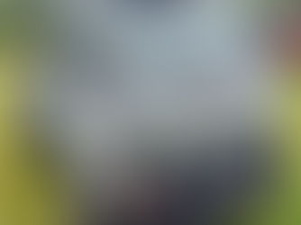 1996 MITSUBISHI MIGHT MAX MINI TRUCK, consigned in April 4, 2026 Auction