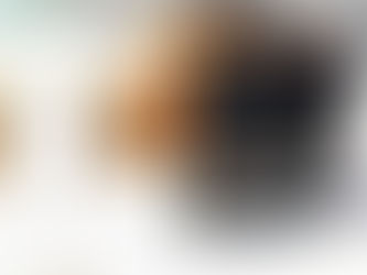 VEVOR DIESEL HEATER, consigned in October 4, 2025 Auction