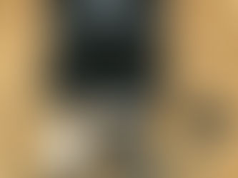 FOUR (4) LOTS OF PARROT ANIFA DRONES, consigned in April 4, 2026 Auction