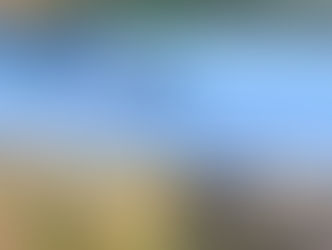 MAXI TRAC DIAMOND UNDERMOUNT TOOLBOX, consigned in April 4, 2026 Auction