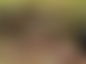 JOHN DEERE BH DISC, consigned in April 4, 2026 Auction