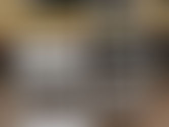 LOT OF TWO (2) SUPER PROFF LADDERS, consigned in April 4, 2026 Auction