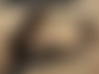 DOZER BLADE, consigned in April 4, 2026 Auction