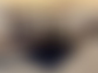 TANDEM AXLE UTILITY TRAILER, consigned in April 4, 2026 Auction