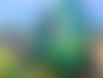 Working condition, 6400 bales