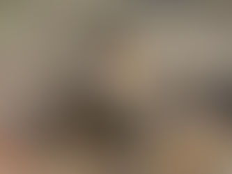 ARPS BACKHOE ATTACHMENT, consigned in April 4, 2026 Auction