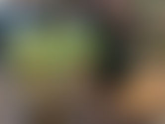 JOHN DEERE 650 TRACTOR, consigned in April 4, 2026 Auction