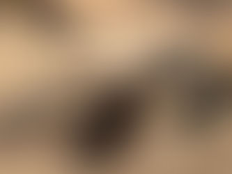 POTATO PICKER, consigned in April 4, 2026 Auction