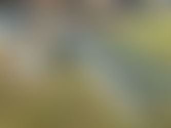 SET OF GALVANIZED STEPS AND LANDING, consigned in April 4, 2026 Auction