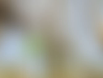 TWO (2) LOTS OF CHAINS, consigned in April 4, 2026 Auction