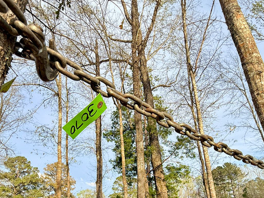 TWO (2) LOTS OF CHAINS, consigned in April 4, 2026 Auction