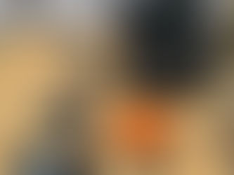 YUNNEC H520 DRONE, consigned in April 4, 2026 Auction