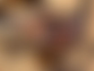 HOWSE FIVE (5) FOOT DISC, consigned in April 4, 2026 Auction