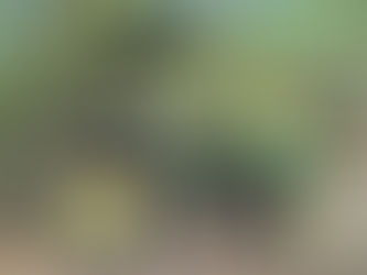 JOHN DEERE 5105 TRACTOR, consigned in October 4, 2025 Auction