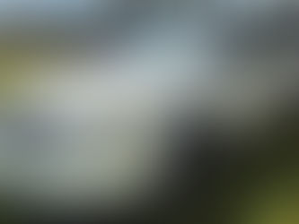 2010  DODGE AVENGER, consigned in October 4, 2024 Auction