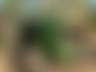 JOHN DEERE 850 TRACTOR, consigned in April 4, 2026 Auction