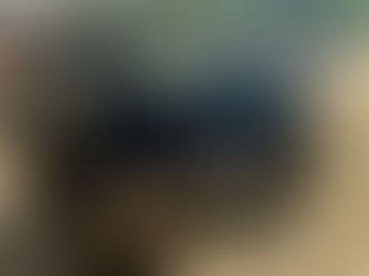 2007 HONDA TRX FOUR WHEELER, consigned in April 4, 2026 Auction