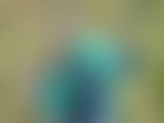 WEEDEATER PUSH MOWER AND WEEDEATER HEDGE TRIMMERS