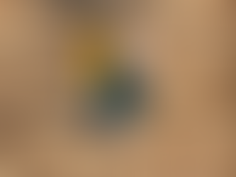 MAKITA AND DEWALT METAL NIBBLERS, consigned in April 4, 2026 Auction