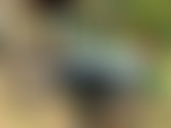 FORD 4000 TRACTOR, consigned in April 4, 2026 Auction