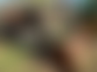 YANMAR ZEN-NOH ZL2002DT TRACTOR, consigned in April 4, 2026 Auction