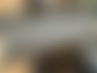 ROLL OF LANDSCAPE CLOTH, consigned in April 4, 2026 Auction