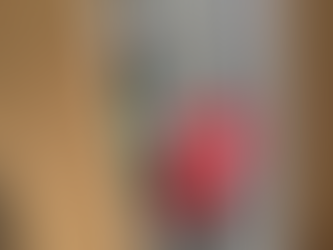 GRIZZLY 12 INCH COMBO JOINTER/PLANER-NEW IN BOX, consigned in April 4, 2026 Auction