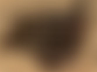 TAYLOR-WAY TURNING PLOW, consigned in April 4, 2026 Auction