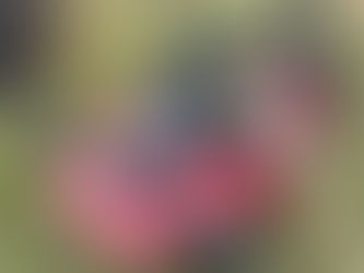 LMC FINISH MOWER, consigned in April 4, 2026 Auction