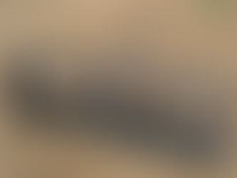 JOHN DEERE GLOBAL CONNECT HAY SPEAR, consigned in April 4, 2026 Auction